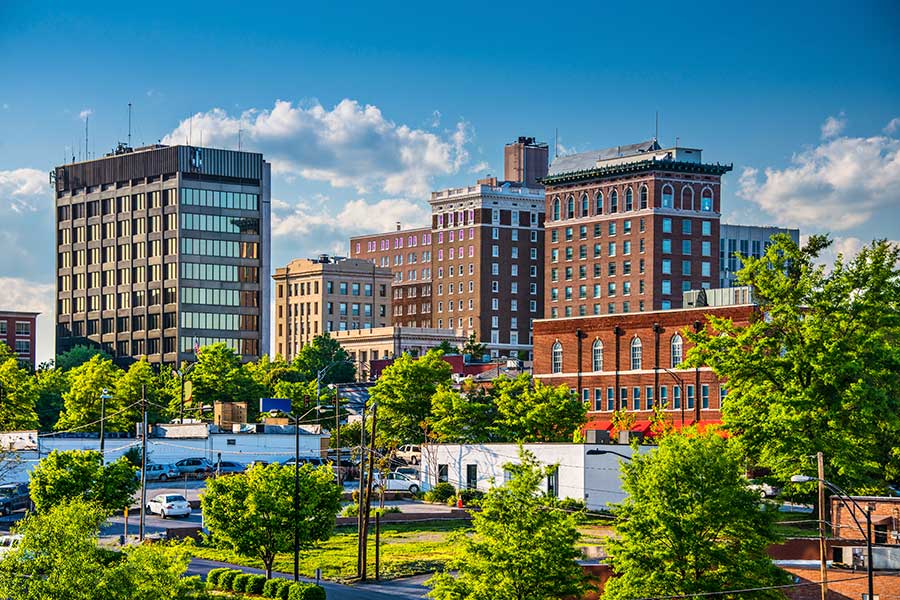 1-800-PACK-RAT is a portable storage and moving company in Greenville and Spartanburg, SC area