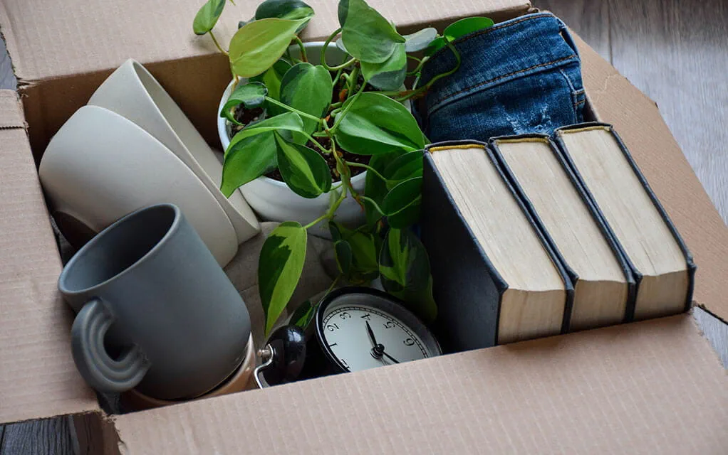 Close-up view of a box filled with books, a plant, cups, plates, a clock, and a pair of jeans