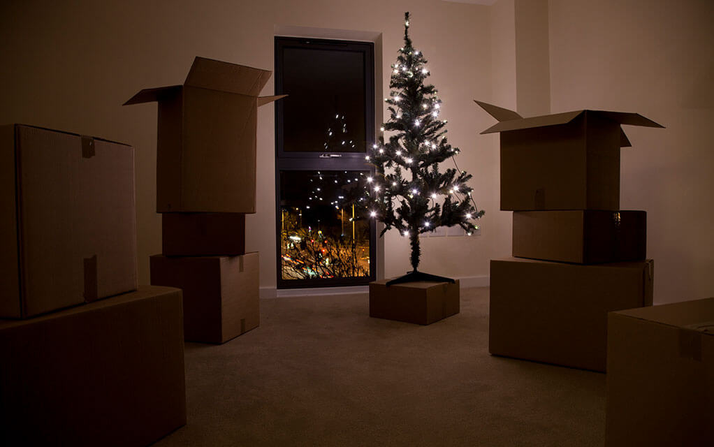 A solitary and small lit up Christmas tree sits in a room on top of a moving box, surrounded by open and unopened moving boxes as the window in the background looks down on a city street at night