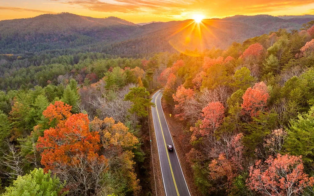 Overhead shot of a lone vehicle traveling along a road surrounded by beautiful trees as their leaves begin to change color in the fall during sunset