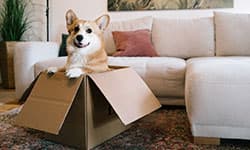 How to Organize for a Move: A Step-by-Step Guide